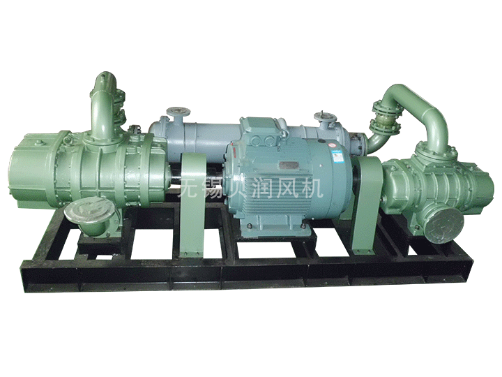 Two stage high pressure Roots blower